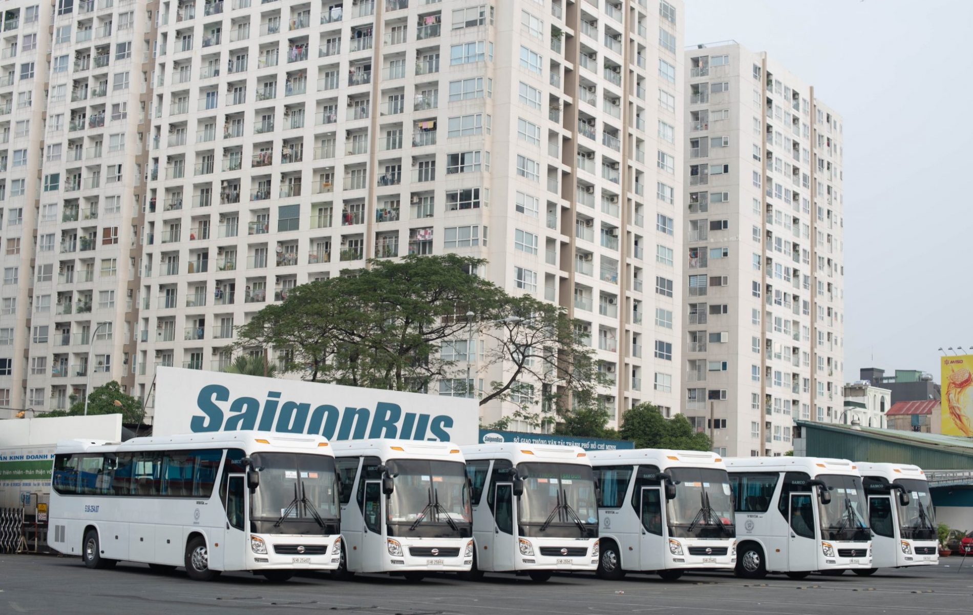 Saigon-bus (11)